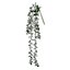 Green Nertera Berry Stem, 13.8"