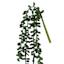 Green Nertera Berry Stem, 13.8"
