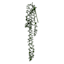 Green Nertera Berry Stem, 13.8"