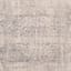 (B741) Firenze Neutral Traditional Area Rug, 5x7