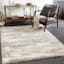(B787) Crosby St. Everton Neutral Abstract Area Rug, 5x7