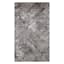 (D554) Estie Charcoal & Black Area Rug, 5x7