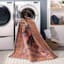 (B794) Amelie Multicolor Medallion Washable Area Rug, 8x10