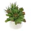 Mixed Succulent in White Pot, 5.5"