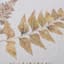 Honeybloom Glass Framed Leaf Print Wall Art, 11x14