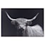 Ty Pennington Framed Highland Cow Canvas Wall Art, 36x24