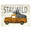 Ty Pennington Stay Wild Canvas Wall Art, 16x12
