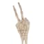 Peace Sign Skeleton Hand, 18.5"