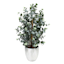 Eura in Cement Pot, 39"