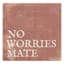 No Worries Mate Canvas Wall Art, 6"
