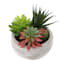 Mixed Succulent in Grey Pot, 5.5"