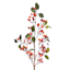Red Berries & Leaves Stem, 31"