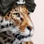 Glam Cat Canvas Wall Art, 12x16