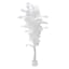 Potted White Fiscus Tree, 6'