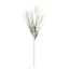 White Plume & Onion Grass Stem, 38"