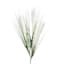 White Plume & Onion Grass Stem, 38"