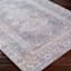 (B786) Honeybloom Colin Multicolor Medallion Washable Area Rug, 8x10