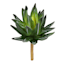 2-Tone Green Aloe Pick, 8.5"