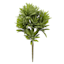 Green Jade Plant Stem, 9.5"