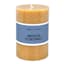 Ty Pennington Orange Unscented Rustic Pillar Candle, 4"