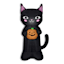 Inflatable Standing Black Cat, 3.5'