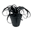 Spellbound Black Air Plant Arrangement, 6"