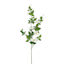 Willow Crossley White Clematis Spray, 44"