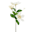Willow Crossley White Clematis Floral Pick, 12"