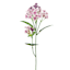 Willow Crossley Lavender Lilac Floral Pick, 12"