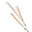Cream Pampas Grass Spray, 48"