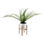 Fern in White Pot with Stand, 18"