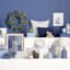 Honeybloom Glass Framed Blue Plant Print Wall Art, 11x14