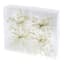 Willow Crossley Set of 4 Pearl Napkin Rings