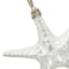 Ty Pennington Hanging White Starfish, 8"