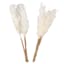 Set of 2 Cream Pampas Grass Pick, 6"