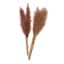 Set of 2 Tan Pampas Grass Pick, 6"