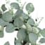 Mini Green Eucalyptus Wreath, 16"
