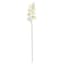 White Orchid Floral Stem, 33"