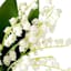 Willow Crossley Small Lily of The Valley Floral Bouquet, 11"