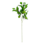 Willow Crossley Green Lime Branches, 24"