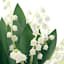 Willow Crossley Lily of Valley in French Vessel, 12"
