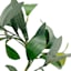 Mixed Ruscus Greenery Candle Ring, 8"