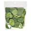 300-Count Eucalyptus Petals