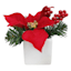 Red Poinsettia & Berry Greenery Arrangement in Ceramic Pot, 6"