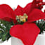 Red Poinsettia & Berry Greenery Arrangement in Ceramic Pot, 6"