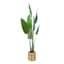 Tracey Boyd Tropical Plant in Basket, 60"