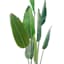 Tracey Boyd Tropical Plant in Basket, 60"