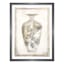 Providence Glass Framed Vase Print Wall Art, 19x25