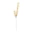 Tan Pampas Grass Spray, 49"