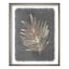 Tracey Boyd Framed Botanical Print Under Glass, 19x25
